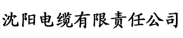 亚洲欧美一区二区三区国产电缆厂logo